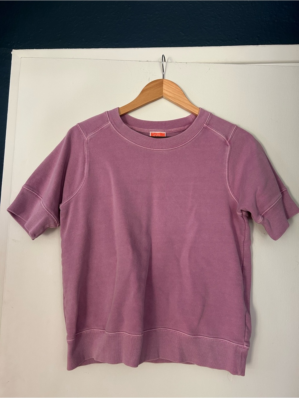 J. Crew Mauve Short-Sleeve Sweatshirt